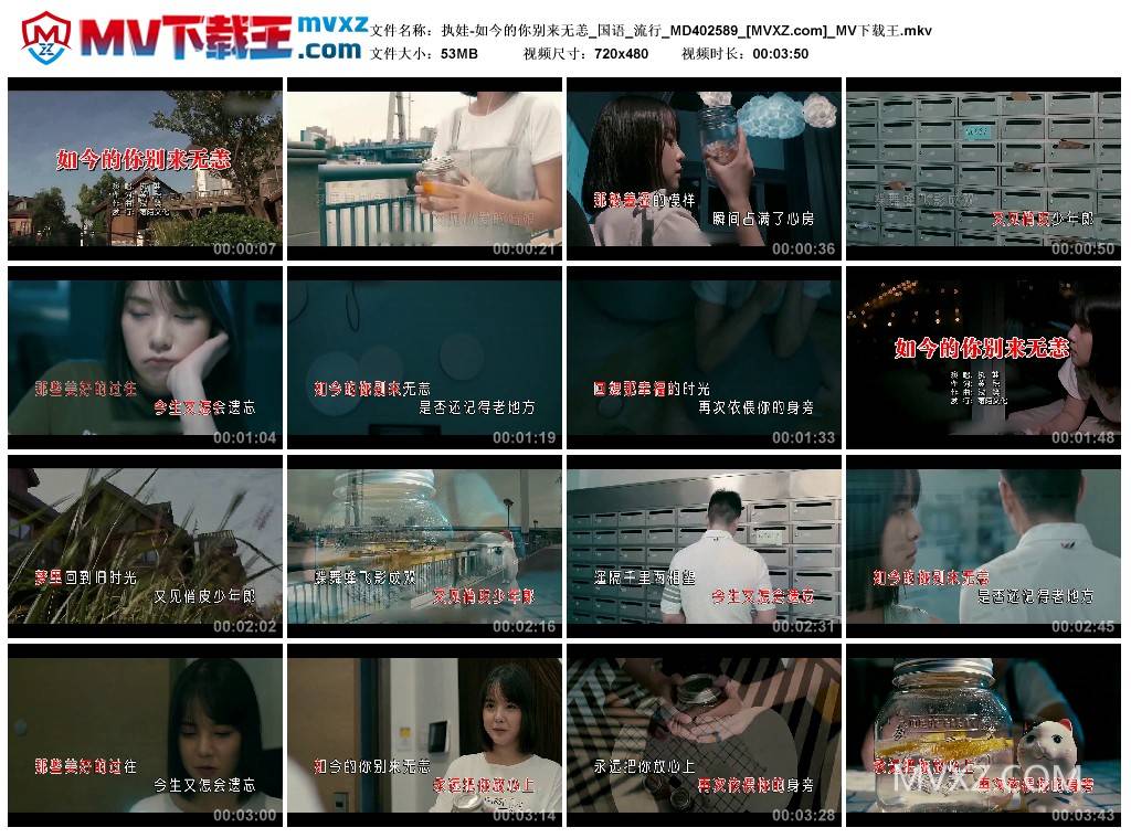 执娃-如今的你别来无恙_国语_流行_MD402589